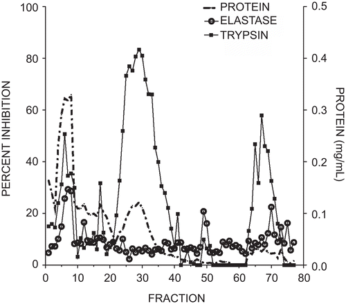 Figure 2.  Elution profile of elastase and trypsin inhibitory activity from soybean trypsin inhibitor using an elastase affinity column. The column wash included fractions 1–50 and the citrate elution included fractions 51–77. Protein measured at 280 nm is illustrated by the dotted line, trypsin inhibitory activity by squares, and elastase inhibition by open circles. Each fraction was 2 mL. Inhibitory activity was expressed as a percent of the control with no added inhibitor.