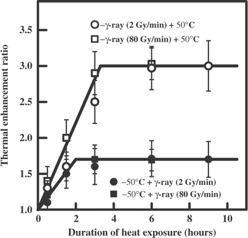 Figure 2. The dependence of the thermal enhancement ratio on the duration of heat exposure (50°C) after the sequential action of ionizing radiation (60Co γ-rays) and hyperthermia on diploid yeast cells.