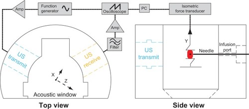 Figure 1 Electronic configuration of the ultrasound tissue bath system.Notes: Two submersible ultrasound transducers are coupled to the reservoir: a transmit transducer (1 MHz, 3% duty cycle, blue) focuses on the lumen of the artery, while a second receive transducer (7 MHz, orange) detects cavitation emissions from nitric oxide-loaded bubble liposomes perfused within the vessel lumen (red) via a 26-gauge blunt injection needle.Abbreviation: US, ultrasound.
