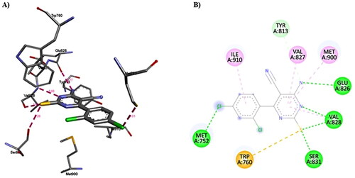 Figure 16. A) 3D structure of the docked compound 1c into the biding site of PI3Kδ (red dotted lines are H-bonds); B) 2D representation of the non-covalent interactions between 1c and binding site amino acid residues (green dotted line: H-bonds, pink dotted lines: hydrophobic interactions; orange line: π-Sulfur interaction).
