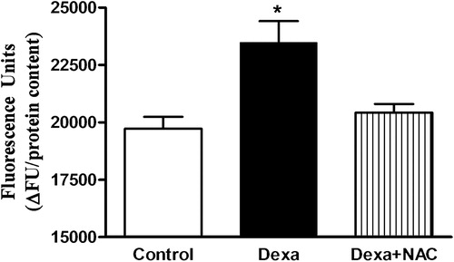 Figure 1. Effects of Dexa and NAC treatment on ROS generation. Total ROS production was measured by DCFH-DA oxidation. Islets were treated with 1 µmol/l of dexamethasone (Dexa) for 72 hours in the presence or absence of 1 mmol/l of NAC (Dexa + NAC) and assayed in the presence of 25 mmol/l glucose. N = 5–8. *P < 0.05, compared to control; ANOVA followed by Bonferroni.