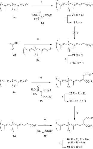Scheme 4.  Synthesis of farnesyl acids. a) NaH and 20, THF, 0°C, 10 min then 30 min RT, then addition of 4c, RT, 4h30 (74%); b) Mg, MeOH, RT, 4h (38%); c) CuI, LDA, THF, 2h, -110°C, then addition of 23, -110°C, 2h (69%); d) NaH and 25, THF, 0°C, 10 min then RT, 40 min, then addition of 4c, RT, 2h15 (66%); e) LDA, THF, − 78 °C, 35 min then addition of 27, − 78°C; f) NaOH 2M, EtOH, 70 °C, 15h (77-100%).