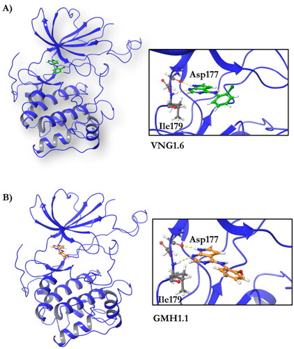 Figure 5. Representation of the binding mode of A) VNG1.6 and B) GMH1.1 in the catalytic site of the crystallised protein SGK1 (3HDM).