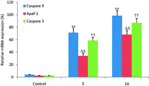 Figure 6. OA increases the relative mRNA expression of caspase -3, -9 and Apaf-1. The mRNA expression of caspase 3, caspase 9 and Apaf-1 was detected by FQRT-PCR. OA increased the mRNA expression levels of caspase 3, caspase 9 and Apaf-1 dose dependently when compared with the control group. **, ΔΔ, †† p < 0.01 compared with the control group. Data are expressed as the mean ± SD. n = 6.