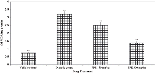 Figure 6. Effect of polyphenolic extract (PPE) on renal lipid peroxidation (LPO) from normal and diabetic rats. Values are expressed as mean ± SEM of six animals each. ** P < 0.01 compared with diabetic control.