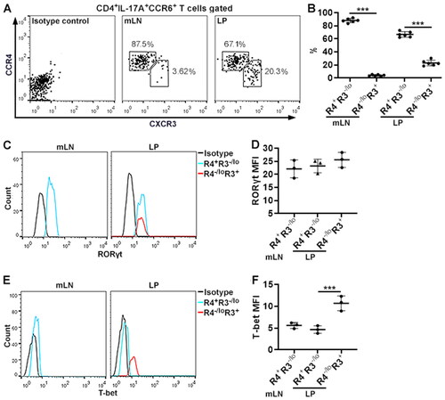 Figure 2. Subsets of IL-17A-expressing CD4+ T cells. (A) Flow cytometry dot plots showing the expression of CXCR3 and CCR4 on the surface of CD3+IL-17A+CCR6+ T cells in mLNs and LP. (B) Frequencies of indicated subsets in CD3+IL-17A+CCR6+ T cells in mLNs and LP. R4+R3-/lo: CCR4+CXCR3-/lo subset. R4-/loR3+: CCR4-/loCXCR3+ subset. (C) Flow cytometry histograms showing RORγt expression in the subsets. Note that only the CCR4+CXCR3-/lo subset is shown in the mLNs because the CCR4-/loCXCR3+ subset in the mLNs is too few to be analysed. (D) Mean fluorescence intensities (MFI) of RORγt. (E) Flow cytometry histograms showing T-bet expression in the subsets. Only the CCR4+CXCR3-/lo subset is shown in the mLNs. (F) T-bet MFI. N = 5 mice per group in (B). N = 5 data points per group in (D & F). Each data point represents cells pooled from 3 mice. ***: p < 0.001.