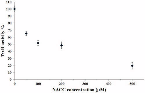 Figure 9. Inhibition of intracellular TrxR by NACC in UACC-62 cells. UACC-62 cells were incubated in the presence of 50, 100, 200 and 500 μM NACC for 5 h, and the enzyme activity was determined and presented as the percentage of the control. The results are shown as the means ± S.D. of three independent experiments.