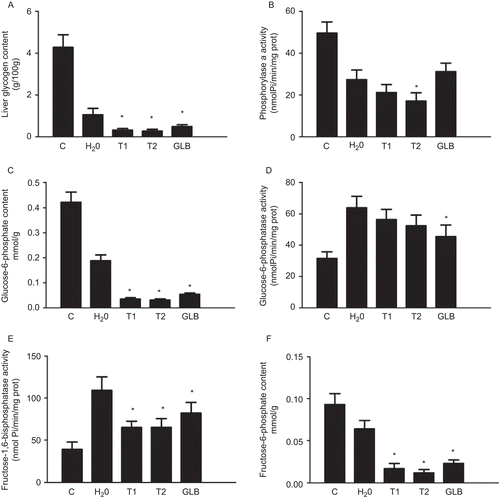 Figure 7.  Liver enzyme activities and metabolite concentrations in STZ-diabetic rats treated with Teucrium polium ssp. capitatum extract. The parameters were measured in liver homogenates of the STZ-diabetic rats after 10 days of treatment with either H2O, extract T1 (125 mg/kg i.g.), extract T2 (125 mg/kg i.g.) or glibenclamide (GLB 2,5 mg/kg i.g.) and compared to healthy, untreated animals (C) and diabetic animals, placebo-treated with water (H2O). The panels depict A: Liver glycogen content, B: Glycogen phosphorylase a activity, C: Glucose-6-phosphate concentration, D: Glucose-6-phosphatase activity, E: Fructose-1,6-bisphospshatase activity and F: Fructose-6-phosphate concentration, respectively. It is of note that in all cases placebo treatment with water altered enzyme and metabolite levels (P<0.05). * denotes P<0.05 compared to diabetic animals receiving H2O.