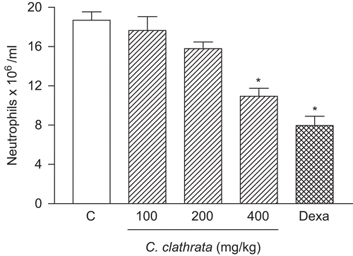Figure 4.  Effect of C. clathrata HE on leukocyte migration into the peritoneal cavity induced by carrageenan in mice. Groups of animals were pre-treated with vehicle (C, control group, 10 mL/kg, p.o., open column), dexamethasone (Dexa, 2 mg/kg, s.c., cross-hatched column), or HE at the doses of 100, 200, and 400 mg/kg (p.o., right-hatched columns) 60 min before carrageenan (1%, 250 μL, i.p.)-induced peritonitis. Cell counts were performed at time 4 h after the injection of carrageenan. Each value represents the mean ± SEM (n = 6/group). Asterisks denote statistical significance, *p < 0.001, in relation to control group. ANOVA followed by Bonferroni’s test.