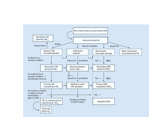 Figure 3. Diagnostic algorithm for patients with hypereosinophilia.After having established that HE is present, the cause and clinical significance of HE need to be explored. With regard to the cause, the patient is examined for signs of a reactive process (helminth infection, drug allergy or others), evidence of a myeloid or stem cell neoplasm (where eosinophils usually are neoplastic cells), or of other malignancies. In rare cases, familial HE is diagnosed. When no underlying condition and no signs of overt organ damage are found, the (provisional) diagnosis HEUS is established, and the patient is carefully monitored. In the case of secondary (reactive or paraneoplastic) HE or clonal (neoplastic) HE, the final diagnosis is determined using the WHO criteria and other established criteria. When HE is accompanied by specific (eosinophil-induced) organ damage, diagnosis of HES is established. HES can occur in any type of HE and can present as secondary (reactive) HES, primary (neoplastic) HES, or idiopathic HES. Rare syndromes presenting with eosinophilia, such as the CCS, Gleich’s syndrome and other syndromes, must also be considered based on clinical findings. CCS: Churg–Strauss syndrome; HE: Hypereosinophilia; HEN: Clonal/neoplastic HE; HER: Reactive HE; HEUS: HE of undetermined significance; HES: Hypereosinophilic syndrome; HESN: Primary/neoplastic HES; HESR: Reactive HES; NHL: Non-Hodgkin´s lymphoma.