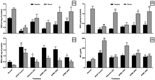 Figure 2. Effect of treatment of APME on hepatic and renal SOD (A), GSH (B), MDA (C), and NO (D) in paracetamol-induced toxicity in rats. Data are expressed as mean ± SEM (n = 6) and analyzed by a one-way ANOVA followed by Dunnett's test for each parameter separately. *p < 0.05, **p < 0.01, and ***p < 0.001 as compared with the APAP group and ##p < 0.01 and ###p < 0.001 as compared with normal group.