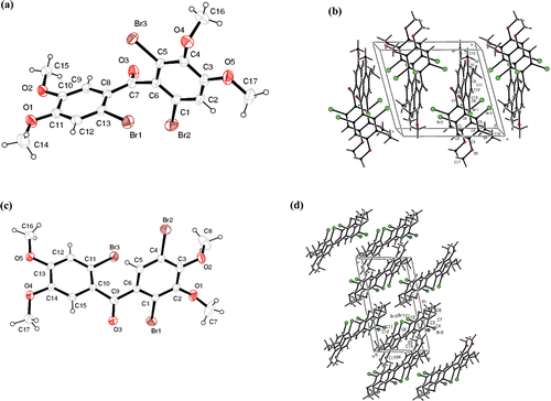 Figure 2.  (A) The molecular structure of tribromide 13 showing the atom numbering scheme. (B) Packing diagram for 13. (C) The molecular structure of tribromide 14 showing the atom numbering scheme. (D) Packing diagram for 14.