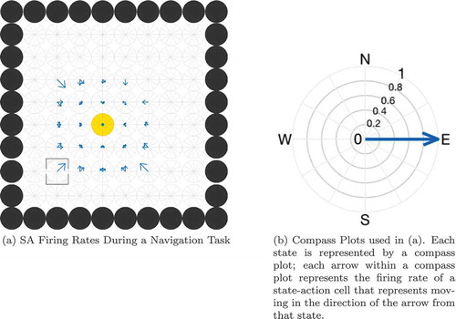Figure 3. Illustration of the problem of reading out the correct action for the current state. (a) shows the firing rates of a layer of SA cells partway through a planning task. Each compass plot in (a) represents the firing rate of all SA cells which encode a particular state as illustrated in (b). The golden state is the goal location and the boxed state is the agent’s current state. The planning wavefront has activated a large number of SA cells, most of which encode an action (NW, SW, W) that will not move the agent towards the goal. The model cannot therefore simply sum or average the activity in the SA layer but has to gate this activity by the current state of the agent before it is passed to the action output layer. Furthermore, this read-out must happen at a specific time