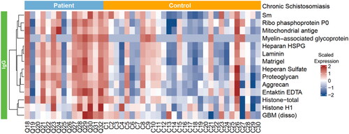 Figure 2. A hierarchically clustered heatmap of the 14 kinds of IgG autoantibodies with specificities against significant autoantigens detected in patients with chronic schistosomiasis japonica.