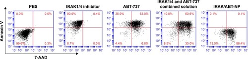 Figure 5 Annexin V/7-AAD staining used for flow cytometry analysis of apoptosis in Jurkat cells induced by IRAK/ABT-NP compared to IRAK1/4 inhibitor alone, ABT-737 alone and combined solution.Abbreviation: IRAK/ABT-NP, IRAK1/4 inhibitor and ABT-737 co-encapsulated into polyethylene glycol modified poly (lactic-co-glycolic acid) nanoparticles.