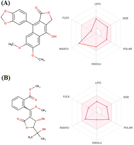 Figure 6. In-silico predicted pharmacokinetic properties of diphyllin (A) and avacennone B (B).