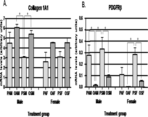 Figure 2.  Comparison of hepatic fibrosis-related mRNA expression. Mean mRNA expression levels for (A) collagen type I, α-1 (Col1A1) and (B) platelet-derived growth factor receptor-β (PDGFRβ) were compared by two-way ANOVA testing. Combined maternal exposure to ovalbumin (OVA) and mainstream cigarette smoke (MCS) significantly increased hepatic collagen 1A1 mRNA levels in male offspring (OSM) compared with male offspring of dams exposed only to MCS (PSM). There was a trend toward increased Col1A1 levels in all offspring of OVA-exposed dams compared with in PBS-exposed counterparts. PDGFRβ mRNA levels were significantly decreased in the OSM group compared with their PSM counterparts. Similar significant differences were seen for OAM versus PAM groups and OSF versus PSF groups. The mRNA expression pattern was similar between the male and female groups for both Col1A1 and PDGFRβ. *Value is statistically significantly different at p < 0.05.