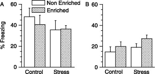 Figure 2 Effects of stress and enrichment on cued and contextual fear conditioning. The ordinate depicts percentage freezing during the presentation of the conditioned tone. The freezing observed is specific to the conditioning, in view of a low level of freezing obtained in a novel context before presentation of tone-shock pairs (Figure 1, pre-shock). Neither chronic stress nor environmental enrichment affected fear conditioning to an auditory cue (A) or to the training context (B). Two-way ANOVA. n = 11 − 12 rats per group. Values are means ± SEM.