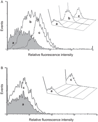 Figure 12.  Cytofluorimetric analysis at 37°C (A) and 4°C (B): control (a), 3 h incubation (b), 6 h incubation (c).