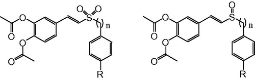 Figure 2. The structure of (E)-3,4-diacetoxystyryl sulfone and sulfoxide derivatives.