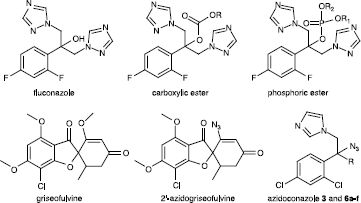 Figure 1 Antifungals used in therapeutic, and general structure of new synthesized compounds 3 and 6a-f (R = H, butyl, vinyl, allyl, propargyl, phenyl, benzyl).