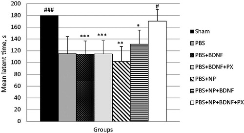 Figure 4. Mean latent time (sec ± m, n = 6) that the mice spent at the light chamber, at day 7 after the brain injury (cutoff time 180 s). Group Sham includes mice with sham operation. The rest groups include mice subjected to TBI and received IV injection 3 h post-injury of following solutions: PBS: control group with PBS solution as drug vehicle; PBS + BNDF: solution of BDNF (5 μg/per mouse); PBS + BNDF + PX: 1% solution of Poloxamer®188 with BDNF (5 μg/per mouse); PBS + NP: solution of empty 2% PLGA NPs; PBS + NP + BNDF: solution of BDNF (5 μg/per mouse) adsorbed on PLGA NP; PBS + NP + BDNF + PX: solution of BDNF (5 μg/per mouse) adsorbed on PLGA NP coated with Poloxamer®188. *p < 0.05, **p < 0.01, ***p < 0.001 versus PBS + NP + BDNF + PX group; #p < 0.05, ##p < 0.01, ###p < 0.001 versus control (PBS) group repeated measures one-way ANOVA, with Bonferroni’s multiple comparison tests.
