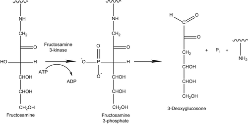 Figure 6. Reaction of fructosamine-3-kinase.