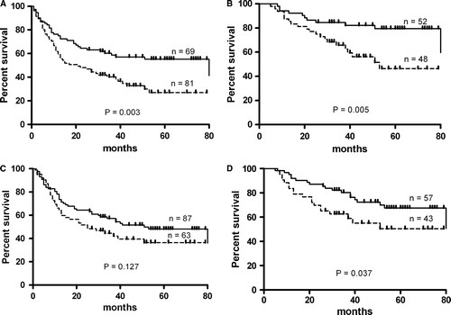 Figure 3.  Probability of survival (Kaplan-Meier method) of gastric cancer patients in relation to TF IgG (A, B) and MUC1 IgG (C, D) antibody levels: (combined groups: stage I-IV (A, C) and stage I-III (B, D) Dark line – strong responders (O.D. or R.U. values above the median); Dotted line – weak responders (O.D. or R.U. values below or equal to the median).
