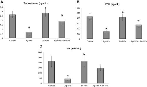 Figure 6 Effects of exposure to Ag-NPs and/or Zn-NPs on (A) testosterone, (B) FSH, and (C) LH levels in serum. Values are presented as mean ± SD (n = 10 rats/group). (a) indicates presence of a statistically significant difference from the control group and (b) indicates presence of a statistically significant difference from Ag-NPs group at p< 0.05.