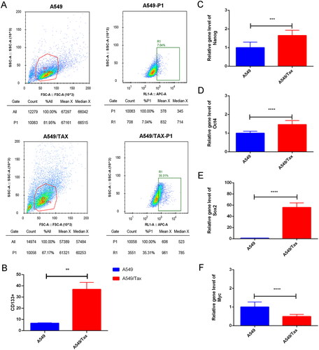 Figure 5. Cancer cell stemness increases in paclitaxel resistant LUAD cells. (A) The flow cytometry (FCM) assay for the expression of CD133; (B) the quantitative analysis showed that CD133 was significantly increased in A549/TAX cells; (C–F) the expression of nanog (C), Oct4 (D), Sox2 (E), and myc (F) in A549 cells and A549/TAX cells. **p < 0.01; *** p < 0.001; **** p < 0.0001.