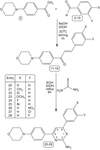 Scheme 2.  Synthesis reaction pathway for formation of 4-(4-morphlinophenyl)-6-aryl-6H-1,3-thiazin-2-amines.