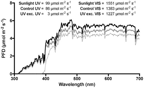 FIGURE 1. Spectral light environment of each treatment in relation to natural insolation; black solid line—sunlight, gray solid line—control, gray dotted line—UV exclusion. The total values shown represent the sum of total PFDs of the UV waveband (λ 280–400 nm) and the VIS waveband (λ 400–700 nm) in μmol m-2 s-1.