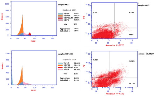 Figure 8. Flow cytometric cell cycle analysis upon treatment of MCF-7 breast cancer cell line with the compound 7f.