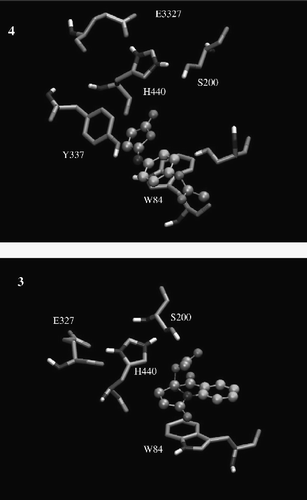 Figure 3 Graphical representations of the binding modes of compounds 3 and 4 in the catalytic site of AChE (PDB 1B41).