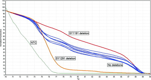 Figure 2.  Normalized graph that was done to confirm the results of partial AZFc deletions. The red curve represents a sample with SY1191 deletion, the orange curve represents a sample with SY1291 deletion, the blue curves represent samples without deletions and the green curve represents the NTC. Note that the differences in the shapes of the curves confirm the deletions. NTC: non-template control.