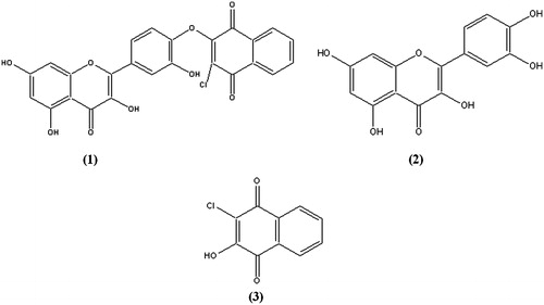 Figure 1. Chemical structures of 3,7-dihydroxy-2-[4-(2-chloro-1,4-naphthoquinone-3-yloxy)-3-hydroxyphenyl]-5-hydroxychromen-4-one (1), quercetin (2) and 2-chloro-3-hydroxy-[1,4]-naphthoquinone (3).