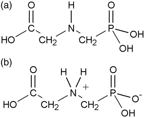 Figure 1. Chemical structure of glyphosate, (N-(phosphonomethyl)glycine, CAS 1071-83-6): (a) neutral form; (b) ionic form.