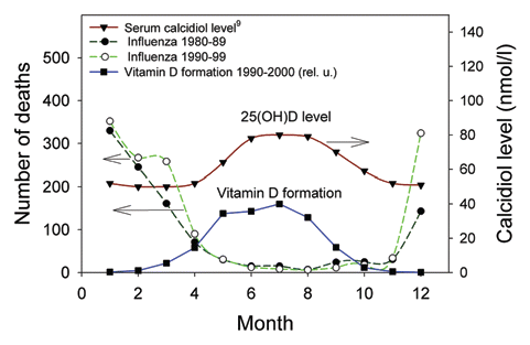Figure 1 Seasonal variations of serum levels of vitamin D (▼) in the Nordic countries, given as averages from three reports in ref. Citation9. Photosynthesis of vitamin D for Southern Norway (■) is calculated by use of the action spectrum in ref. Citation7, UV measurements in Oslo and radiative transfer calculations using a cylinder model as described in the text. The results are presented in relative units (rel. u.). Influenza deaths in two periods (●, ◯) in Norway are also given.