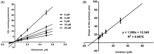 Figure 5. Lineweaver–Burk plots (A) and the secondary plot for Ki (B) of effects of bergenin on CYP2C9 catalyzed reactions (diclofenac 4′-hydroxylation) in pooled HLM. Data were obtained from 30 min incubation with phenacetin (2–20 μM) in the absence or presence of bergenin (0–30 μM). All data represent mean ± S.D. of the triplicate incubations.