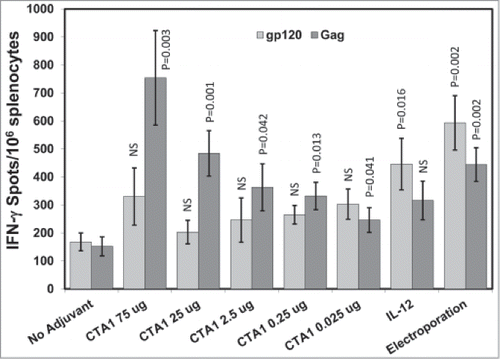 Figure 2. CTA1 has a wide dose range: Groups of 6 BALB/c mice were immunized i.m. 1 time on day 0 with 30 μg of pSIV-gag and 15 μg of pHIV-gp120 plus either 25 μg of empty plasmid or 25 μg of pIRES-mIL-12 as a comparator adjuvant or decreasing doses of pCTA1. Enough empty plasmid was included to keep the total DNA delivered in each vaccination to at least 70 μg. An additional group had the vaccine DNA delivered i.m. with electroporation. Day 14 splenocytes were stimulated with SIVmac239gag or HIVBaLgp120 peptide pools for IFN-γ ELISpot assays. The error bars represent the standard errors of the means. The P values (compared to the no adjuvant group) were calculated with a Students T Test using SigmaPlot v12 software. NS stands for not significantly different from the unadjuvanted control. The results shown are from a single experiment performed.