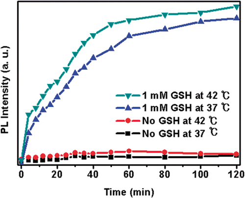 Figure 2. Representative release profile of DOX from DOX-loaded Si-SS-CD-PEG in PBS containing 0 mM or 1 mM GSH at 37°C or 42°C. (1) Without GSH at 37°C; (2) without GSH at 42°C; (3) with 1 mM GSH at 37°C; (4) with 1 mM GSH at 42°C.
