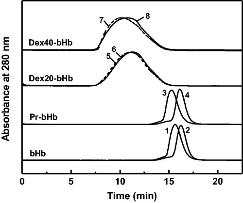 Figure 3. Tetramer stability of the bHb samples in the presence of 0.9 M MgCl2. bHb (1), Pr-bHb (3), dex20-bHb (5) and dex40-bHb (7) were loaded on a Superdex 200 column at room temperature, using PBS buffer containing 0.9 M MgCl2 (pH 7.4) as the eluent. bHb (2), Pr-bHb (4), dex20-bHb (6) and dex40-bHb (8) were loaded on a Superdex 200 column at room temperature, using PBS buffer (pH 7.4) as the eluent.