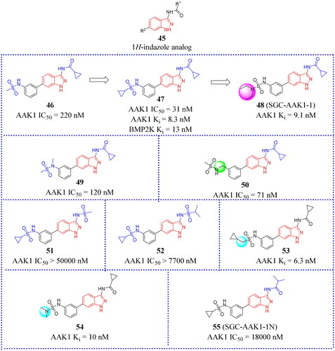 Figure 17. Structures of the AAK1 inhibitors with the 1H-indazole scaffold or its analogs selected from the references.