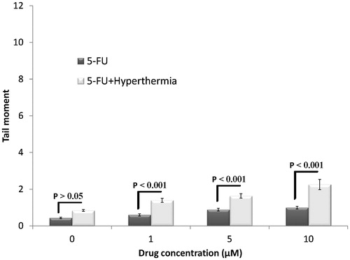 Figure 5. Effects of different concentrations of 5-FU with and without hyperthermia on induced DNA damage of HT-29 spheroid culture cells. Mean ± SEM of three experiments.