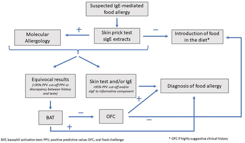 Figure 2. Proposed diagnostic procedure in patients with suspected food allergy.