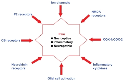 Figure 1 Summary of pain pathophysiology and some pain targets.