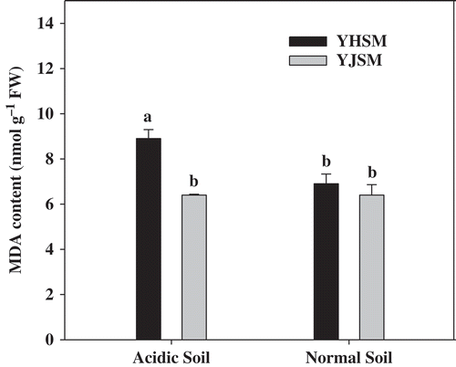 Figure 2 The MDA content in the roots of two rice cultivars under different growing soil conditions. The acidic soil and normal soil indicate that the samples were collected from rice grown in acidic soil and normal soil, respectively. The bars indicate the standard error of the mean. The mean values for each treatment with different lowercase letters indicate significant differences by the LSD-test (p < 0.05 n = 4).