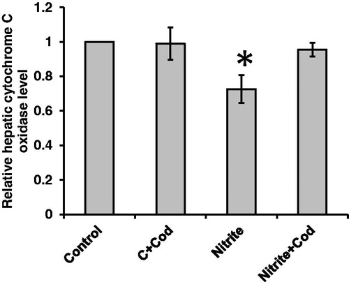 Figure 4. Effect of cod liver oil on hepatic cytochrome c oxidase activity. Statistical analysis showing about 38% reduction in hepatic cytochrome c oxidase in rats received sodium nitrite as compared with the control group. Treatment with cod liver oil restores cytochrome c oxidase activity in sodium nitrite group but did not affect the control rats. *: significant difference as compared with the rest of the groups at p < 0.05.