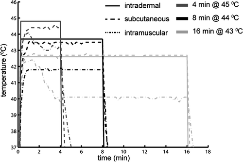 Figure 1. Temperature profile in time measured with a fiber optic probe at three positions in mouse leg (intradermal, subcutaneously and intramuscular) during warm water bath heating at three different temperatures.