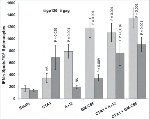 Figure 3. CTA1 has complementary adjuvant effects with IL-12 and GM-CSF: Groups of 6 BALB/c mice were immunized i.m. 1 time on day 0 with 30 μg of pSIV-gag and 15 μg of pHIV-gp120 plus either 40 μg of empty plasmid, 40 μg of pCTA1, 40 μg of pIL-12, 40 μg of pGM-CSF or 20 μg of pCTA1 + 20 μg of pIL-12 or 20 μg of pCTA1 + 20 μg of pGM-CSF. Day 14 splenocytes were stimulated with SIVmac239gag or HIVBalgp120 peptide pools for IFN-γ ELISpot assays. The error bars represent the standard errors of the means. The P values (compared to the no adjuvant group) were calculated with a Students T Test using SigmaPlot v12 software. NS stands for not significantly different from the unadjuvanted control. The results shown are from a single experiment of 3 performed.